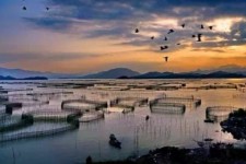 北海伴游中国网景点丰富(旅游网介绍)