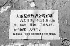 北海珠海伴游雇用网(珠海游览社雇用信息)