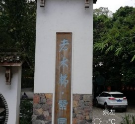北海关于伴游中国伴游你们伴得是什么游的信息