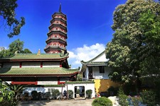 北海广州自由行(广州 自由行)
