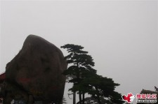 北海上海伴游私家陪游雇用女模(上海伴游私家陪游雇用女模特)