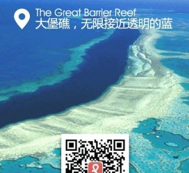 北海中国250家旅行社结伴游新西兰(新西兰当地旅行社)
