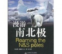 北海游记攻略(ps西游记攻略)