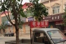 北海上海伴游 用伴游造句大全(5