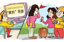 北海伴游是什么