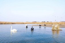 北海南昌附近伴游小妹兼职(1534939978姐的微信德惠市)