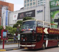 北海上海私人伴游 上海过年怎么玩？这些“微游”线路了解下→