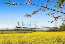 北海高铁游(高铁游戏下载手机版)