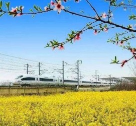 北海高铁游(高铁游戏下载手机版)