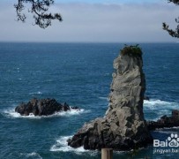北海旅游全攻略(上海旅游全攻略)