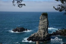 北海旅游全攻略(上海旅游全攻略)