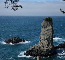 北海旅游全攻略(上海旅游全攻略)