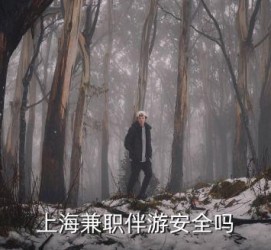 北海上海私人伴游 上海伴游，上海兼职伴游安全吗