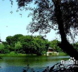 北海西湖旅游攻略(上海到杭州西湖旅游攻略)