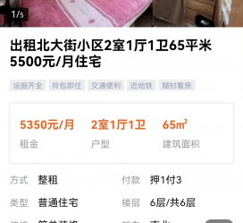 北海私人伴游是什么 “过年租友”陷阱：骗财与色情服务