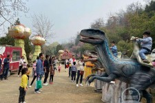 北海中国伴游带你打卡网红南山竹海(南山竹海网上预约)