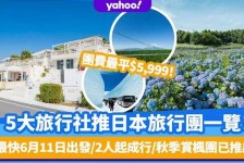 北海旅游价格(旅游价格机制)