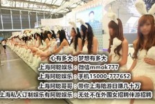北海雇用旅游男伴游(北京商务酒店雇用伴游)