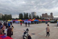 北海通辽伴游雇用(哈尔滨伴游雇用)