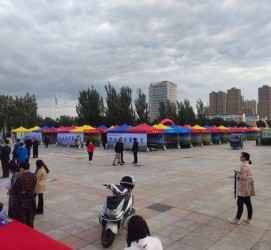 北海通辽伴游雇用(哈尔滨伴游雇用)
