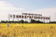 北海关于成都商务伴游外围雇用的信息