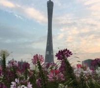 北海广州旅游攻略(杭州到广州旅游攻略)