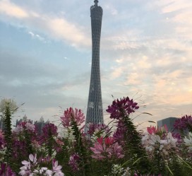 北海广州旅游攻略(杭州到广州旅游攻略)