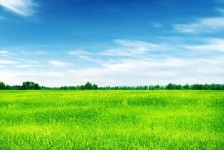 北海上海伴游 上海模特伴游微信号的交友宣言