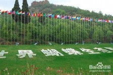 北海昆明旅游攻略(昆明旅游攻略景点大全抚仙湖)
