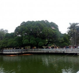 北海福州旅游攻略(福州旅游攻略二日游)