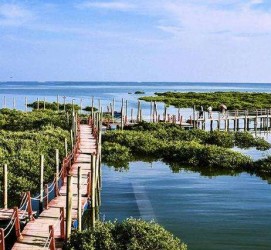 北海旅游哪里好玩(云南旅游哪里好玩)