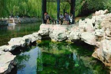 北海济南旅游攻略(青岛威海济南旅游攻略)
