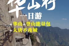 北海一日游(一日游需要准备些什么东西?)