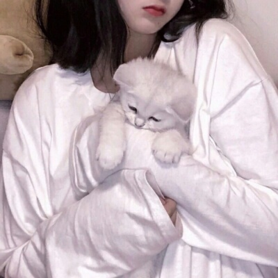 北海伴游女生蕾鮑的资料
