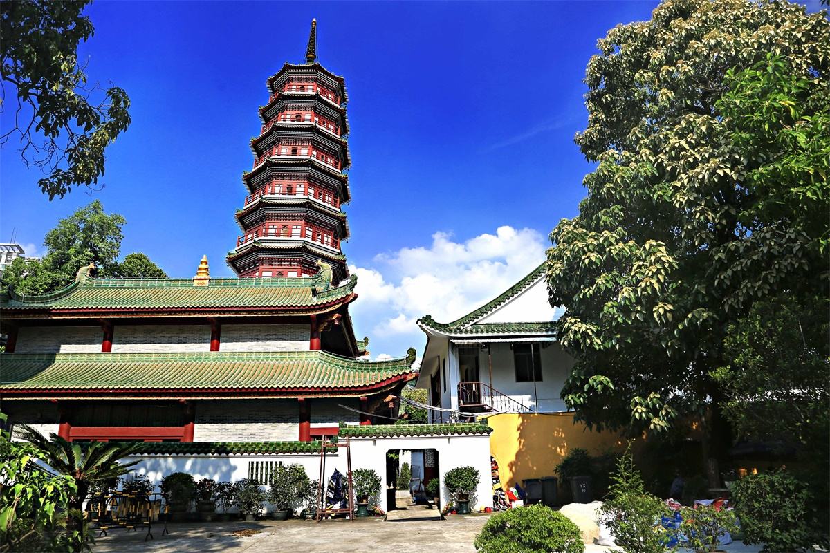 广州自由行(广州 自由行)
